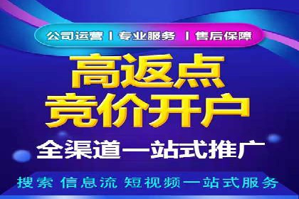 SEM广告创意与优化：成功案例分享